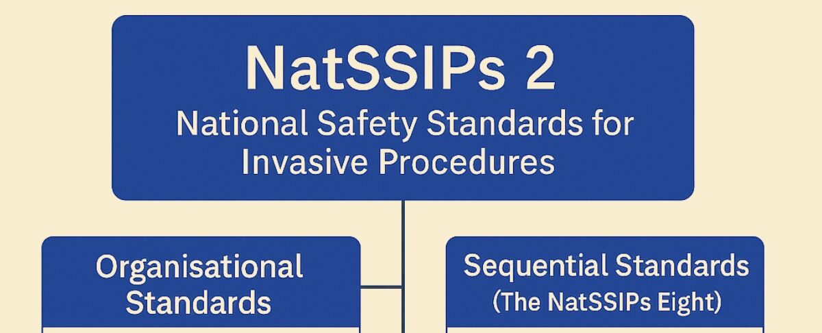 NatSSIPs 2, Where Policy Meets Reality
